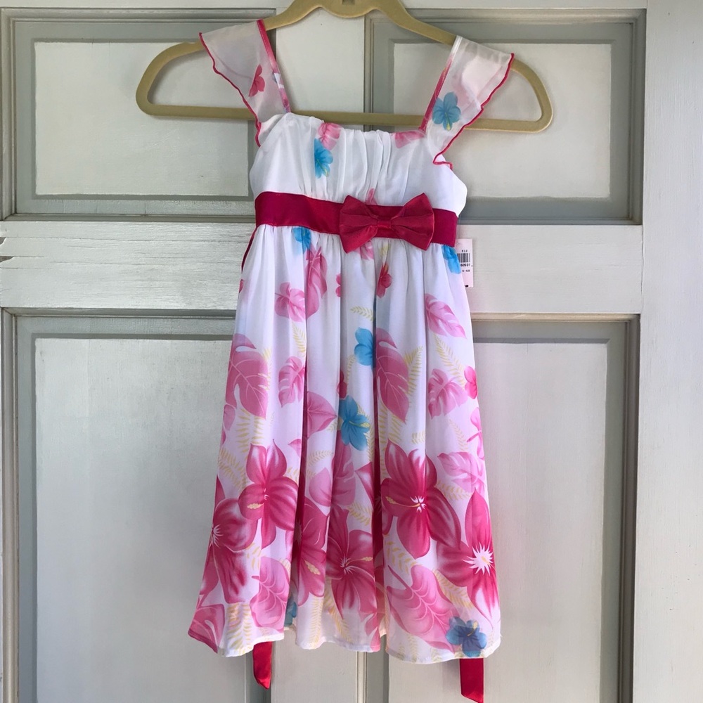 NWT Girl’s Pink and Blue Floral Dress
